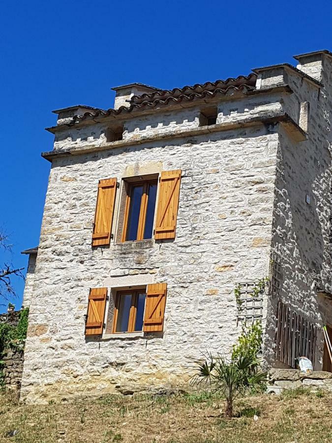 Вілла Le Pigeonnier De Felines Caylus Екстер'єр фото